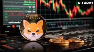 SHIB创下年内新高，上扬幅高达34.08%，还能追吗？-九游体育官网