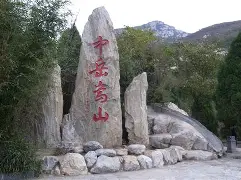 冲浪夜战：嵩山天虎队翻盘漓江霹雳队，临门一脚致胜逆风翻盘的范本的简单介绍